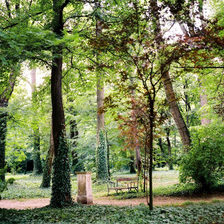 Kyriad Altmannsdorf Viena
